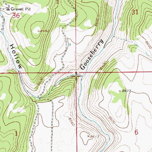 Topographic Map of Spring Cabin Hollow, UT
