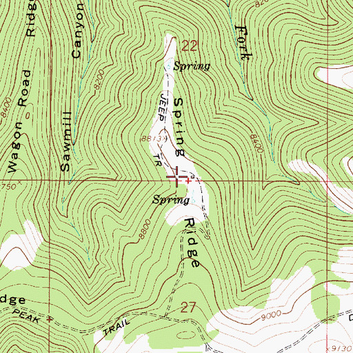 Topographic Map of Spring Ridge, UT