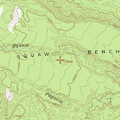Topographic Map of Squaw Bench, UT