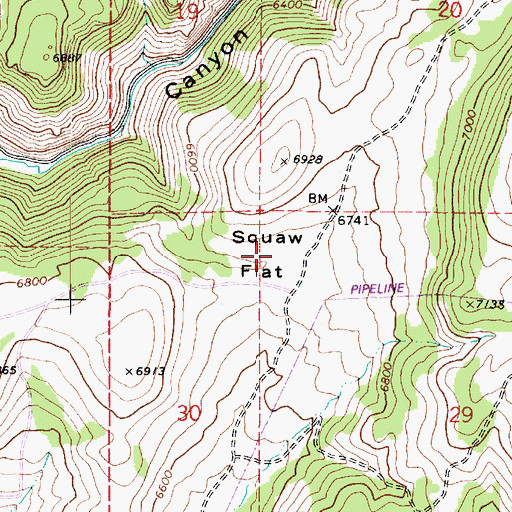 Topographic Map of Squaw Flat, UT