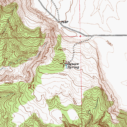Topographic Map of Squaw Spring, UT