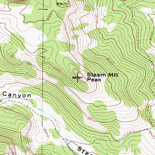 Topographic Map of Steam Mill Peak, UT