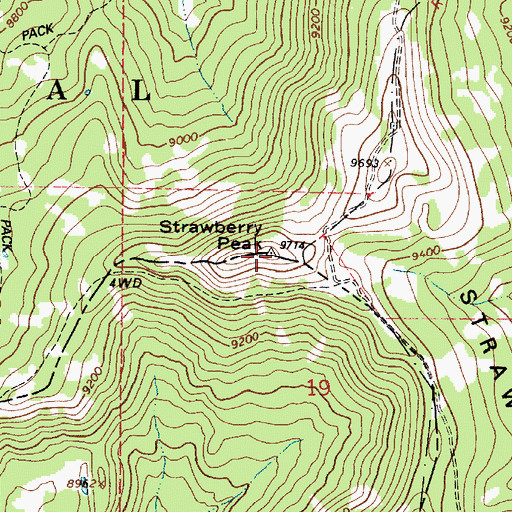 Topographic Map of Strawberry Peak, UT
