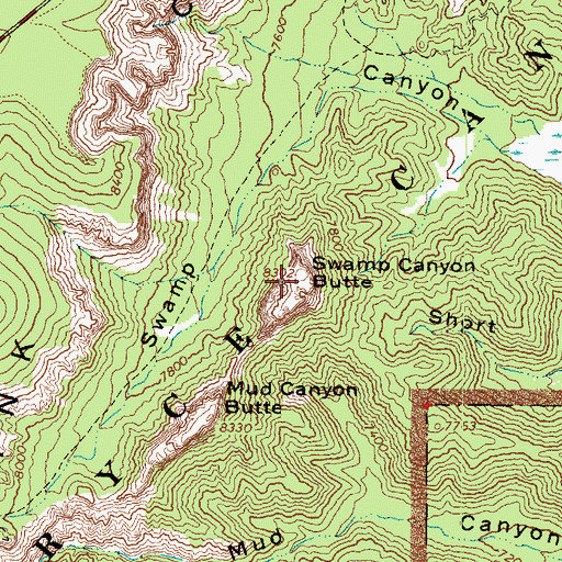Topographic Map of Swamp Canyon Butte, UT