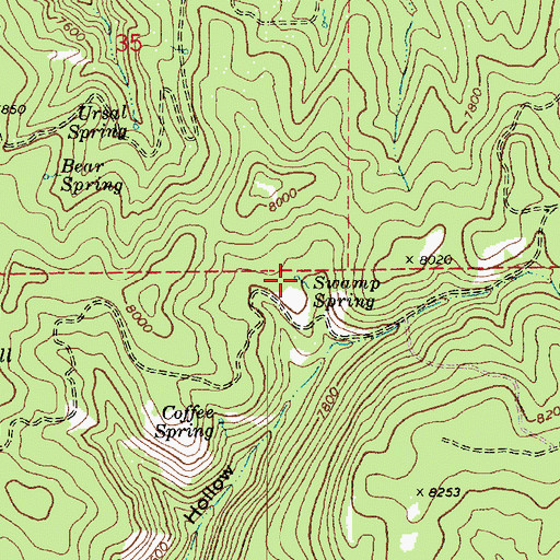 Topographic Map of Swamp Spring, UT