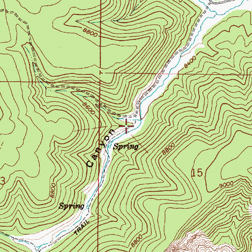 Topographic Map of Swapp Canyon, UT