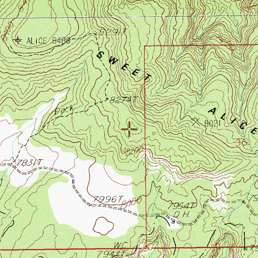 Topographic Map of Sweet Alice Hills, UT