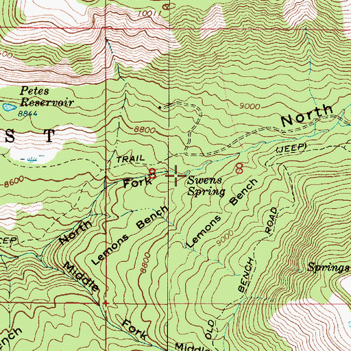 Topographic Map of Swens Spring, UT