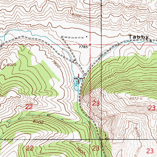 Topographic Map of Tabby Swale, UT