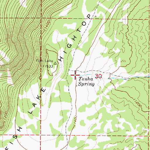 Topographic Map of Tasha Spring, UT