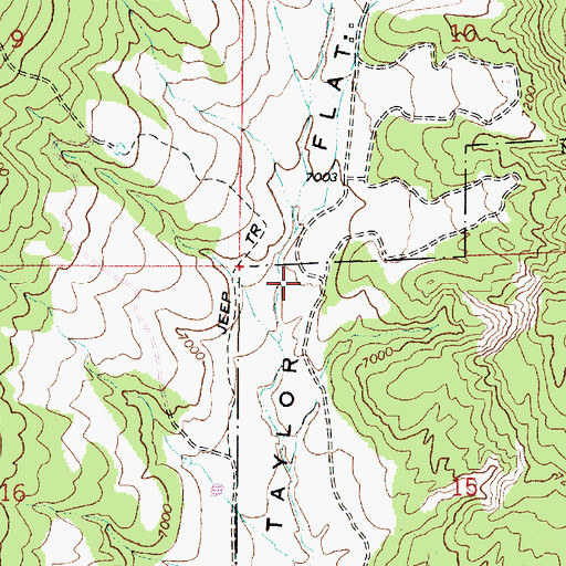 Topographic Map of Taylor Flat, UT