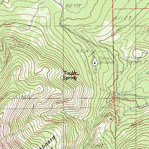 Topographic Map of Taylor Spring, UT