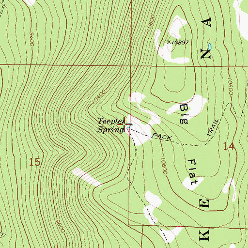 Topographic Map of Teeples Spring, UT