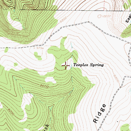Topographic Map of Teeples Spring, UT