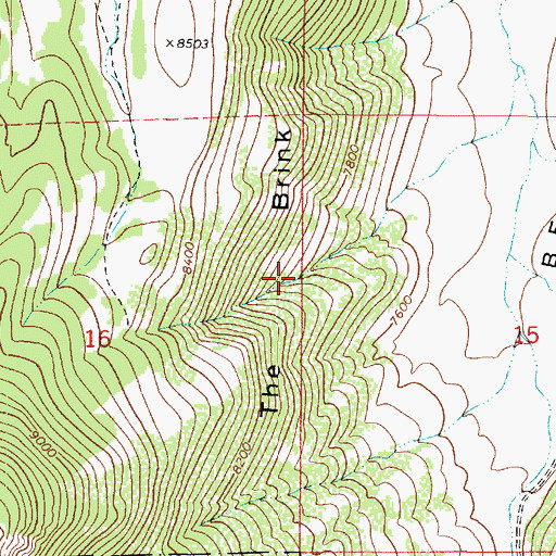 Topographic Map of The Brink, UT
