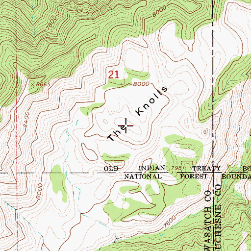 Topographic Map of The Knolls, UT