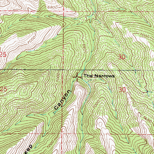 Topographic Map of The Narrows, UT