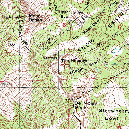 Topographic Map of The Needles, UT