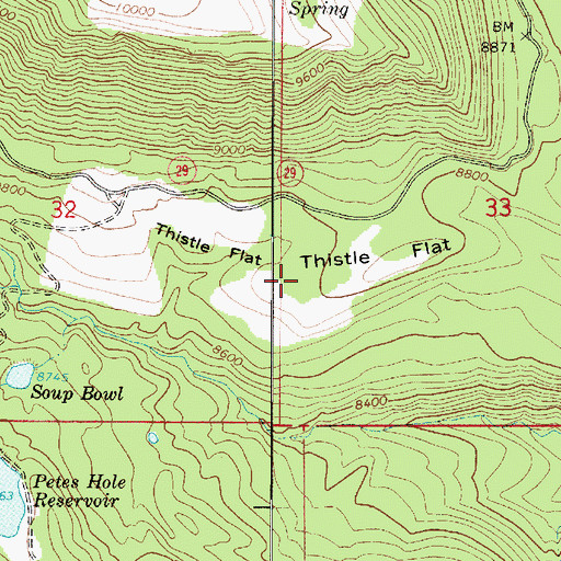 Topographic Map of Thistle Flat, UT