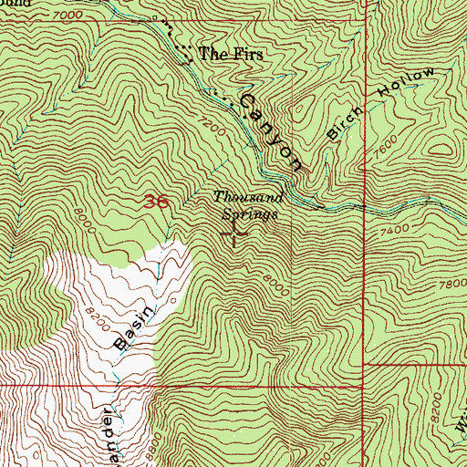 Topographic Map of Thousand Springs, UT