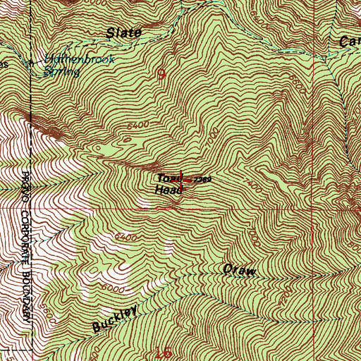 Topographic Map of Toad Head, UT