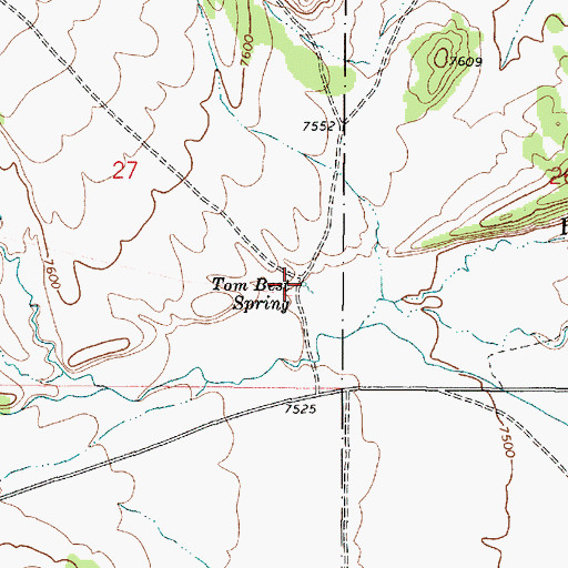 Topographic Map of Tom Best Spring, UT