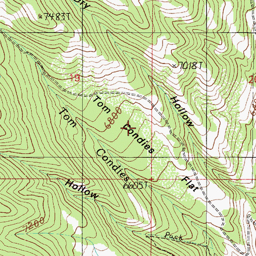 Topographic Map of Tom Condies Flat, UT