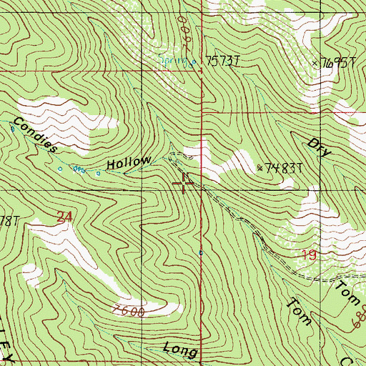 Topographic Map of Tom Condies Hollow, UT