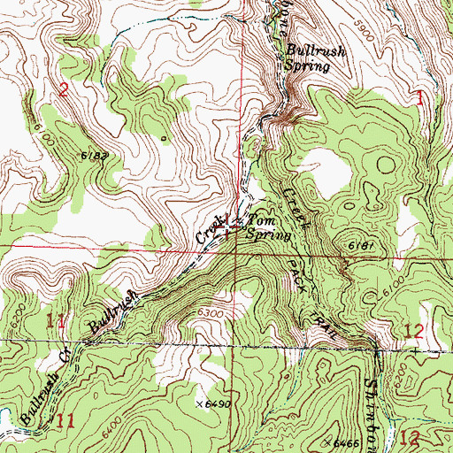 Topographic Map of Tom Spring, UT