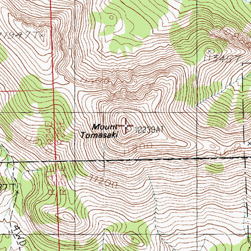 Topographic Map of Mount Tomasaki, UT
