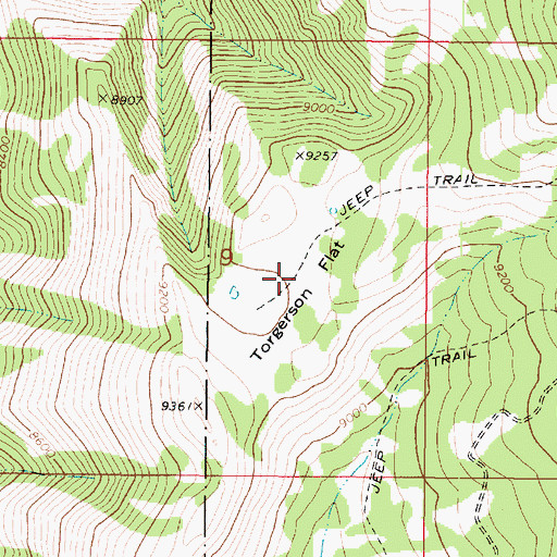 Topographic Map of Torgerson Flat, UT