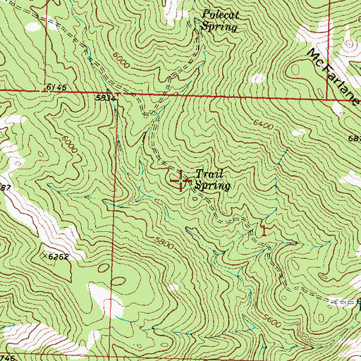 Topographic Map of Trail Spring, UT