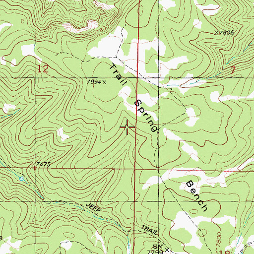 Topographic Map of Trail Spring Bench, UT