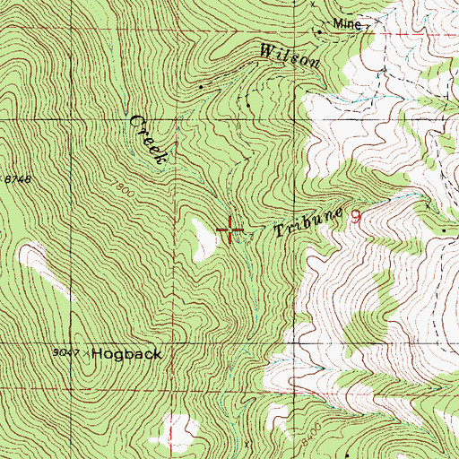 Topographic Map of Tribune Creek, UT