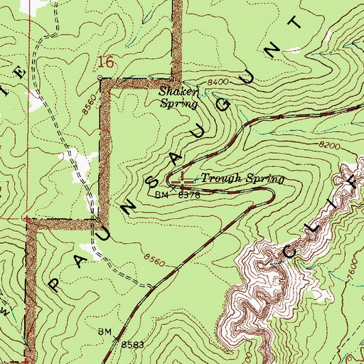 Topographic Map of Trough Spring, UT