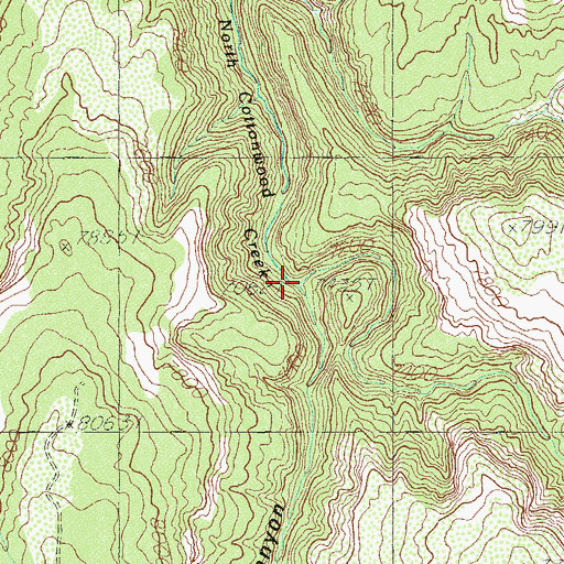 Topographic Map of Tuerto Canyon, UT