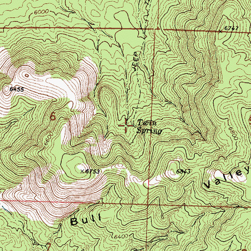 Topographic Map of Twin Spring, UT