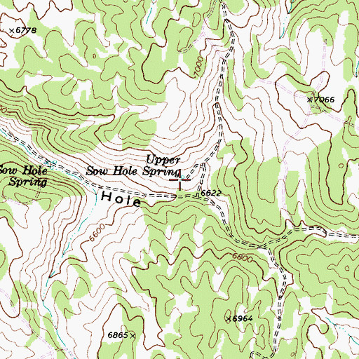 Topographic Map of Upper Sow Hole Spring, UT