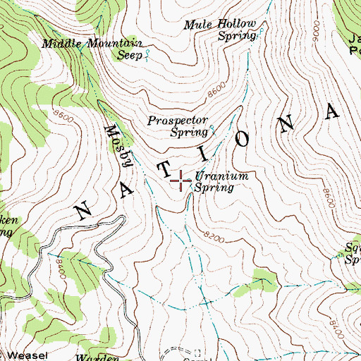 Topographic Map of Uranium Spring, UT