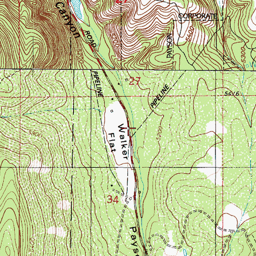 Topographic Map of Walker Flat, UT