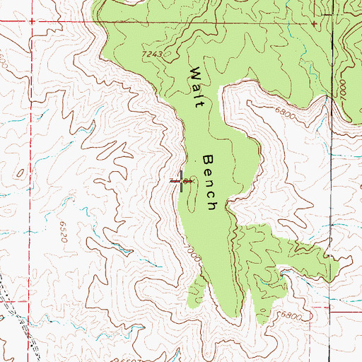Topographic Map of Walt Bench, UT