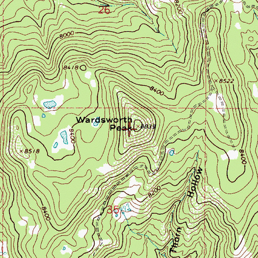 Topographic Map of Wardsworth Peak, UT