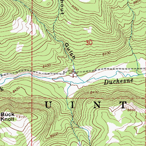 Topographic Map of Washout Gulch, UT