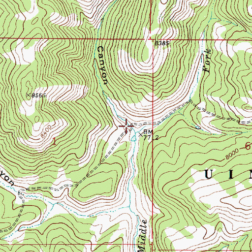Topographic Map of Watch Canyon, UT