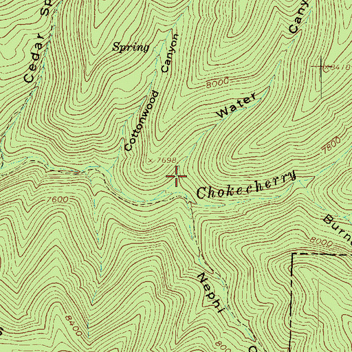 Topographic Map of Water Canyon, UT