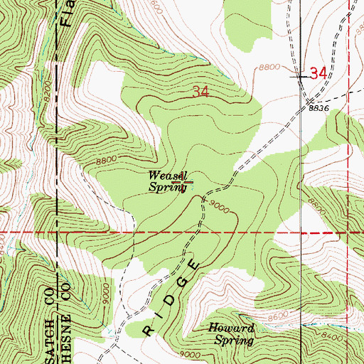 Topographic Map of Weasel Spring, UT