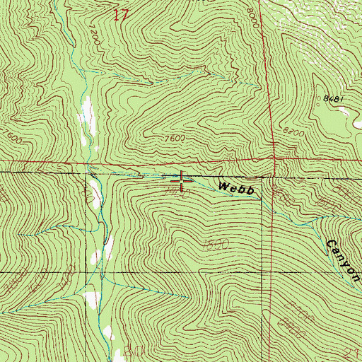 Topographic Map of Webb Canyon, UT
