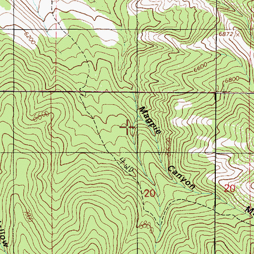 Topographic Map of West Fork Magpie Canyon, UT