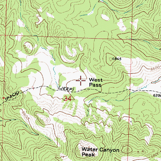 Topographic Map of West Pass, UT