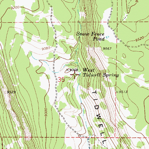 Topographic Map of West Tidwell Spring, UT